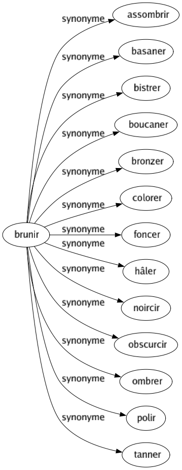 Synonyme de Brunir : Assombrir Basaner Bistrer Boucaner Bronzer Colorer Foncer Hâler Noircir Obscurcir Ombrer Polir Tanner 