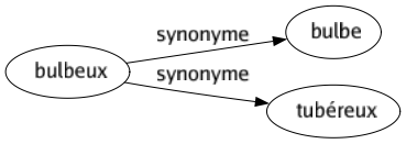 Synonyme de Bulbeux : Bulbe Tubéreux 