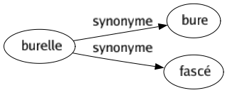 Synonyme de Burelle : Bure Fascé 
