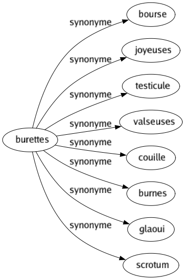 Synonyme de Burettes : Bourse Joyeuses Testicule Valseuses Couille Burnes Glaoui Scrotum 
