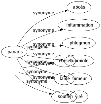 Synonyme de Busc : Baleiné Corset Lamé Soutien 