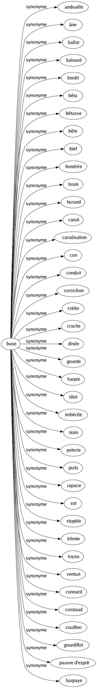 Synonyme de Buse : Andouille Âne Ballot Balourd Benêt Bêta Bêtasse Bête Bief Bondrée Brute Busard Canal Canalisation Con Conduit Cornichon Crétin Cruche Dinde Gourde Harpie Idiot Imbécile Niais Poterie Puits Rapace Sot Stupide Trémie Tuyau Venturi Connard Corniaud Couillon Gourdiflot Pauvre d'esprit Harpaye 