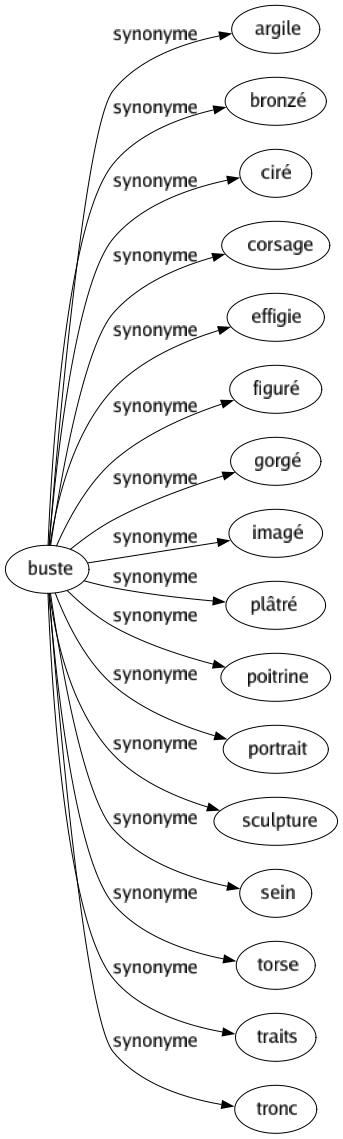 Synonyme de Buste : Argile Bronzé Ciré Corsage Effigie Figuré Gorgé Imagé Plâtré Poitrine Portrait Sculpture Sein Torse Traits Tronc 