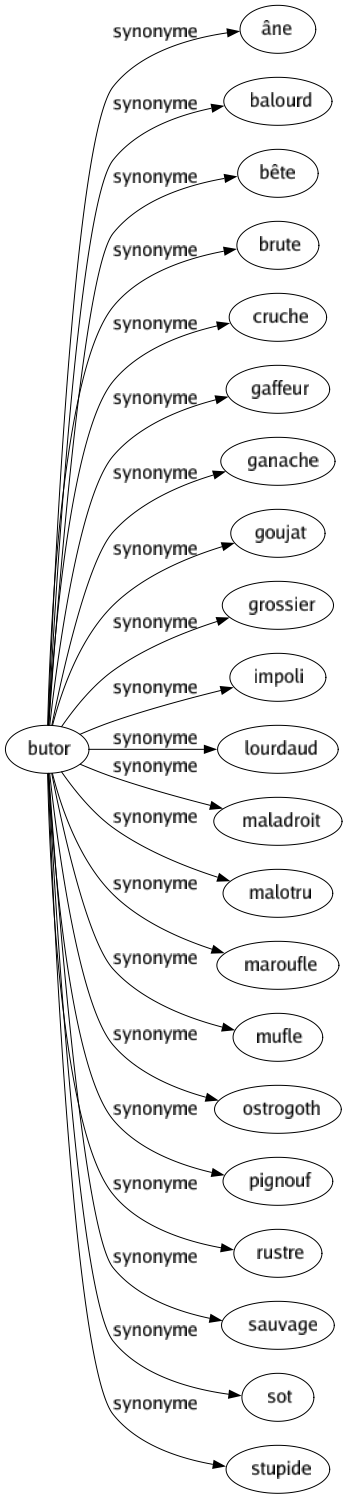 Synonyme de Butor : Âne Balourd Bête Brute Cruche Gaffeur Ganache Goujat Grossier Impoli Lourdaud Maladroit Malotru Maroufle Mufle Ostrogoth Pignouf Rustre Sauvage Sot Stupide 