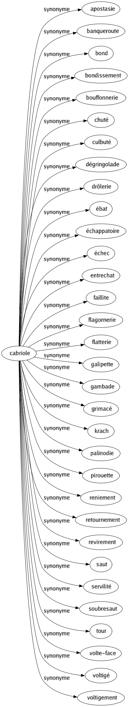 Synonyme de Cabriole : Apostasie Banqueroute Bond Bondissement Bouffonnerie Chuté Culbuté Dégringolade Drôlerie Ébat Échappatoire Échec Entrechat Faillite Flagornerie Flatterie Galipette Gambade Grimacé Krach Palinodie Pirouette Reniement Retournement Revirement Saut Servilité Soubresaut Tour Volte-face Voltigé Voltigement 