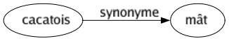 Synonyme de Cacatois : Mât 