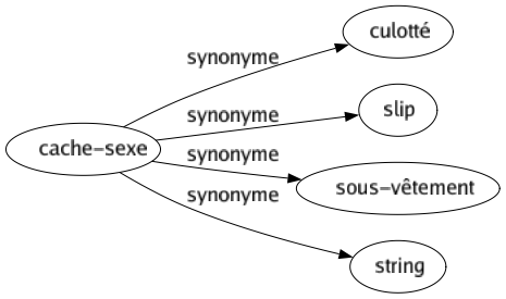 Synonyme de Cache-sexe : Culotté Slip Sous-vêtement String 