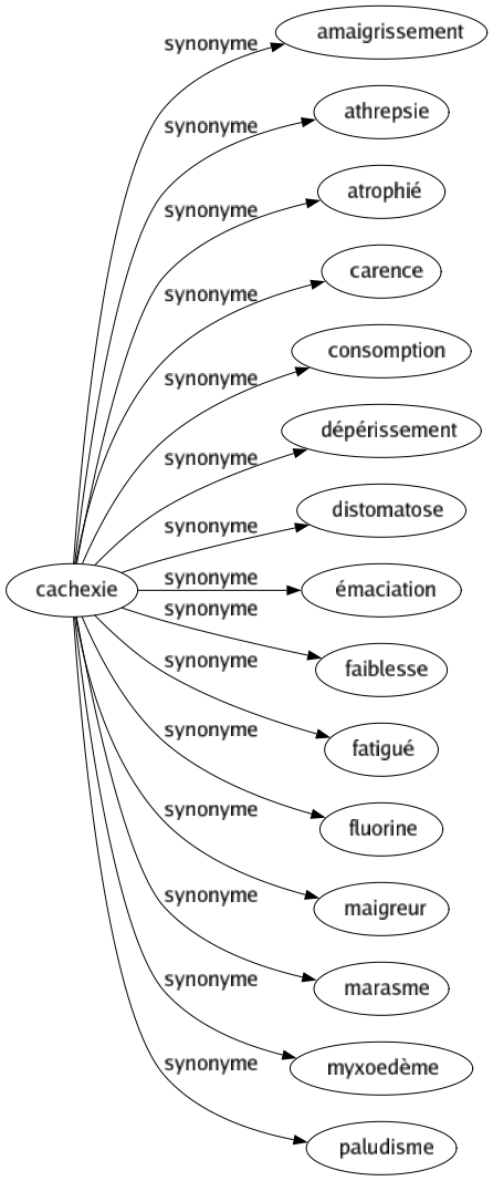 Synonyme de Cachexie : Amaigrissement Athrepsie Atrophié Carence Consomption Dépérissement Distomatose Émaciation Faiblesse Fatigué Fluorine Maigreur Marasme Myxoedème Paludisme 