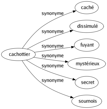 Synonyme de Cachottier : Caché Dissimulé Fuyant Mystérieux Secret Sournois 