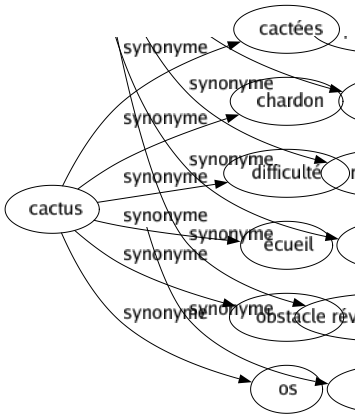 Synonyme de Cactus : Cactées Chardon Difficulté Écueil Obstacle Os 
