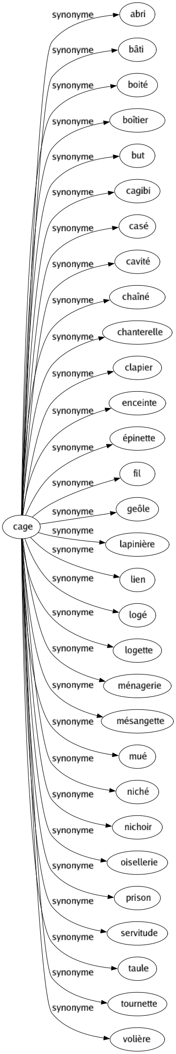 Synonyme de Cage : Abri Bâti Boité Boîtier But Cagibi Casé Cavité Chaîné Chanterelle Clapier Enceinte Épinette Fil Geôle Lapinière Lien Logé Logette Ménagerie Mésangette Mué Niché Nichoir Oisellerie Prison Servitude Taule Tournette Volière 