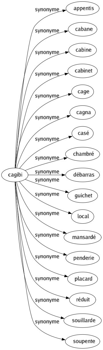 Synonyme de Cagibi : Appentis Cabane Cabine Cabinet Cage Cagna Casé Chambré Débarras Guichet Local Mansardé Penderie Placard Réduit Souillarde Soupente 