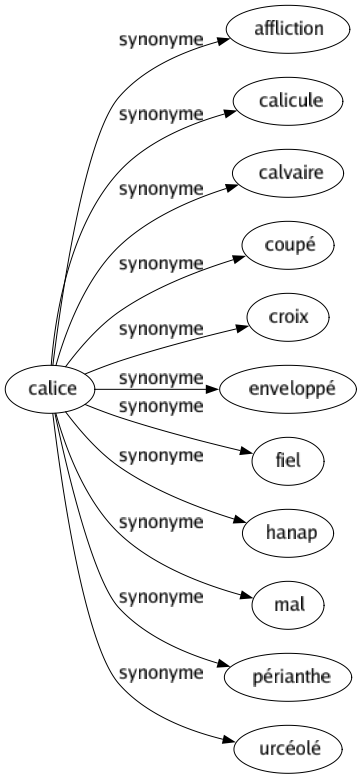 Synonyme de Calice : Affliction Calicule Calvaire Coupé Croix Enveloppé Fiel Hanap Mal Périanthe Urcéolé 