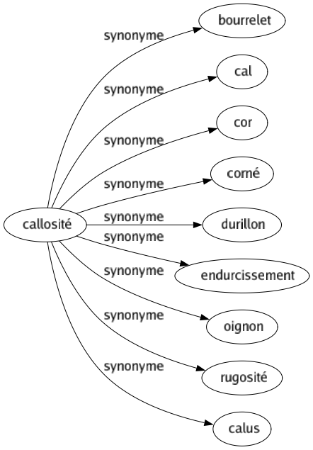 Synonyme de Callosité : Bourrelet Cal Cor Corné Durillon Endurcissement Oignon Rugosité Calus 