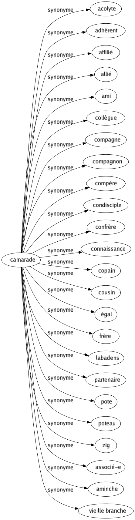 Synonyme de Camarade : Acolyte Adhèrent Affilié Allié Ami Collègue Compagne Compagnon Compère Condisciple Confrère Connaissance Copain Cousin Égal Frère Labadens Partenaire Pote Poteau Zig Associé-e Aminche Vieille branche 