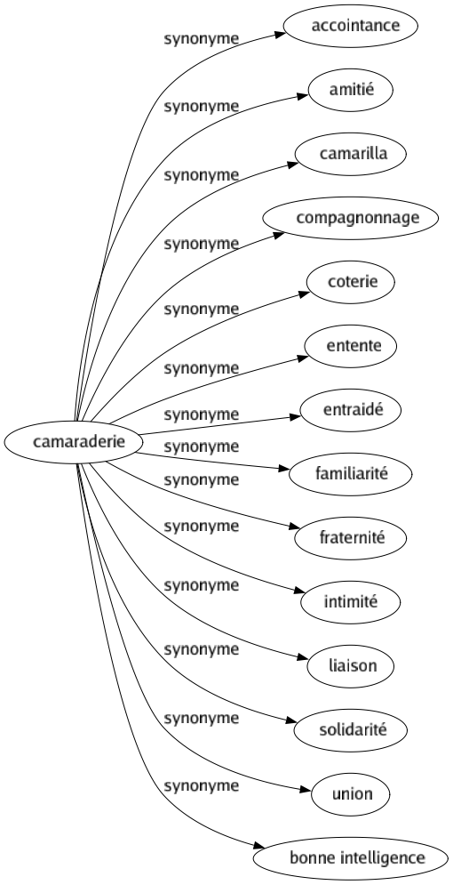 Synonyme de Camaraderie : Accointance Amitié Camarilla Compagnonnage Coterie Entente Entraidé Familiarité Fraternité Intimité Liaison Solidarité Union Bonne intelligence 