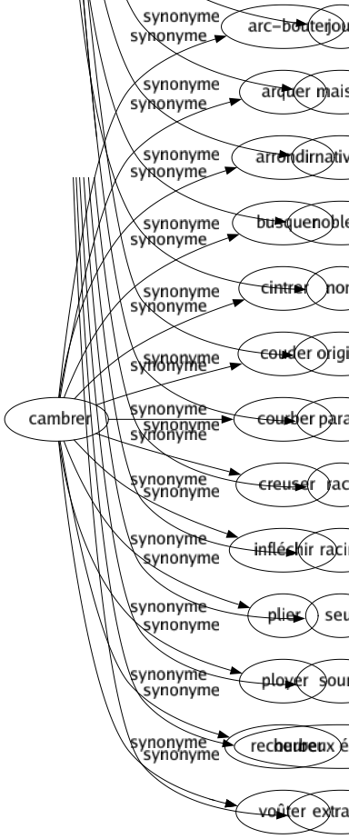 Synonyme de Cambrer : Arc-bouter Arquer Arrondir Busquer Cintrer Couder Courber Creuser Infléchir Plier Ployer Recourber Voûter 
