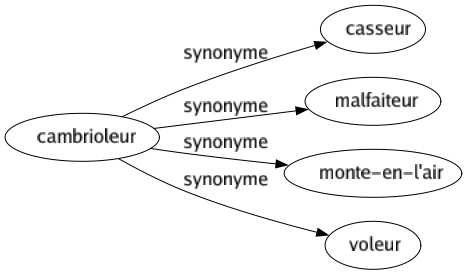 Synonyme de Cambrioleur : Casseur Malfaiteur Monte-en-l'air Voleur 