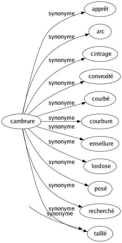 Synonyme de Cambrure : Apprêt Arc Cintrage Convexité Courbé Courbure Ensellure Lordose Posé Recherché Taillé 