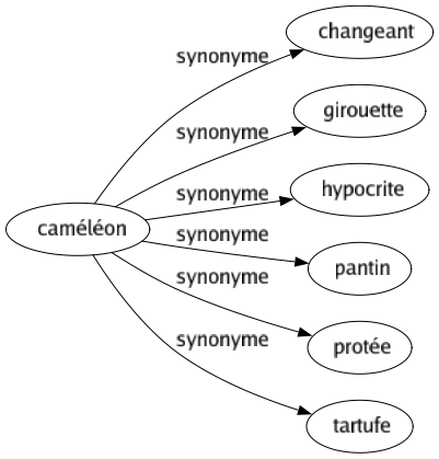 Synonyme de Caméléon : Changeant Girouette Hypocrite Pantin Protée Tartufe 