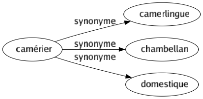 Synonyme de Camérier : Camerlingue Chambellan Domestique 