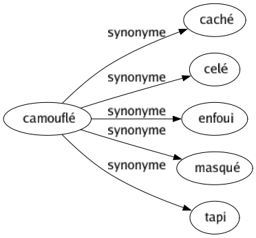 Synonyme de Camouflé : Caché Celé Enfoui Masqué Tapi 