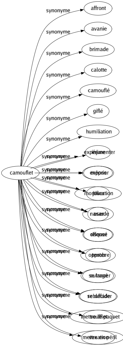 Synonyme de Camouflet : Affront Avanie Brimade Calotte Camouflé Giflé Humiliation Injure Mépris Mortification Nasarde Offensé Opprobre Outragé Rebuffade Soufflet Vexation 