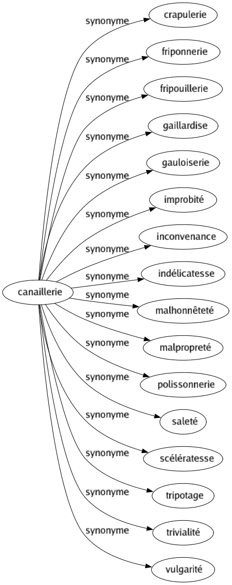 Synonyme de Canaillerie : Crapulerie Friponnerie Fripouillerie Gaillardise Gauloiserie Improbité Inconvenance Indélicatesse Malhonnêteté Malpropreté Polissonnerie Saleté Scélératesse Tripotage Trivialité Vulgarité 