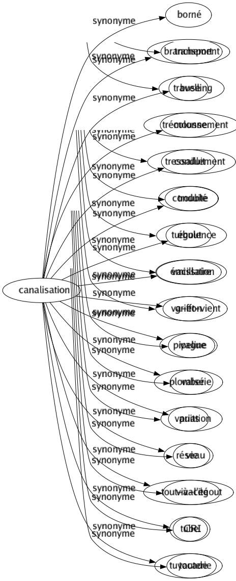 Synonyme de Canalisation : Borné Branchement Buse Colonne Conduit Conduite Égout Émissaire Griffon Pipeline Plomberie Puits Réseau Tout-à-l'égout Tube Tuyauterie 