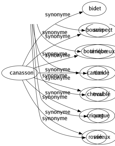 Synonyme de Canasson : Bidet Bourrin Bourrique Carcan Cheval Criquet Rossé 