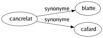 Synonyme de Cancrelat : Blatte Cafard 