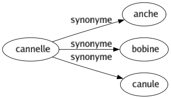 Synonyme de Cannelle : Anche Bobine Canule 