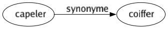 Synonyme de Capeler : Coiffer 
