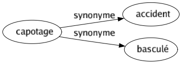 Synonyme de Capotage : Accident Basculé 