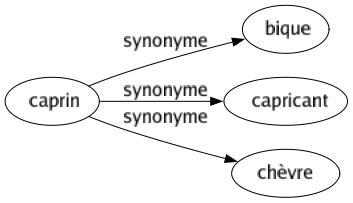 Synonyme de Caprin : Bique Capricant Chèvre 