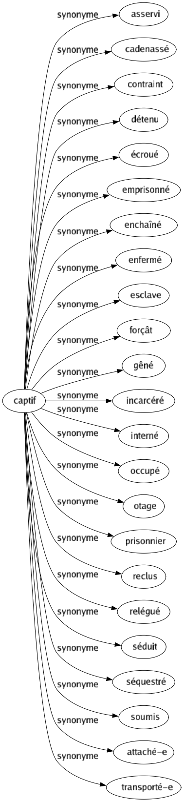 Synonyme de Captif : Asservi Cadenassé Contraint Détenu Écroué Emprisonné Enchaîné Enfermé Esclave Forçât Gêné Incarcéré Interné Occupé Otage Prisonnier Reclus Relégué Séduit Séquestré Soumis Attaché-e Transporté-e 