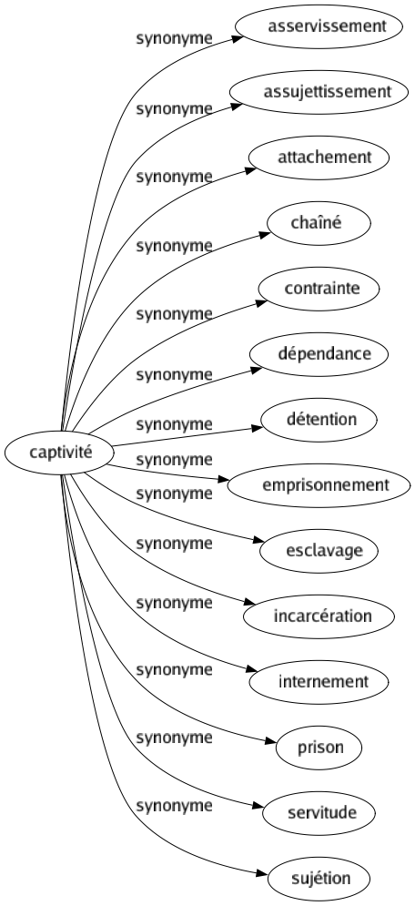 Synonyme de Captivité : Asservissement Assujettissement Attachement Chaîné Contrainte Dépendance Détention Emprisonnement Esclavage Incarcération Internement Prison Servitude Sujétion 