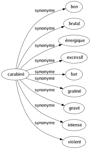 Synonyme de Carabiné : Bon Brutal Énergique Excessif Fort Gratiné Gravé Intense Violent 