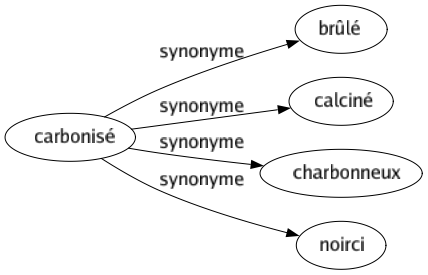 Synonyme de Carbonisé : Brûlé Calciné Charbonneux Noirci 