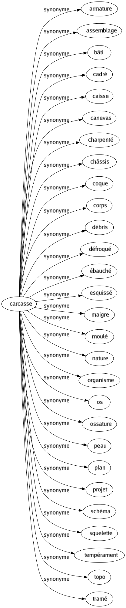 Synonyme de Carcasse : Armature Assemblage Bâti Cadré Caisse Canevas Charpenté Châssis Coque Corps Débris Défroqué Ébauché Esquissé Maigre Moulé Nature Organisme Os Ossature Peau Plan Projet Schéma Squelette Tempérament Topo Tramé 