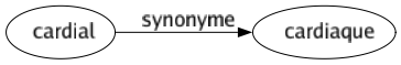 Synonyme de Cardial : Cardiaque 