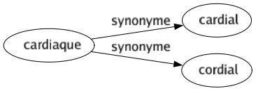 Synonyme de Cardiaque : Cardial Cordial 