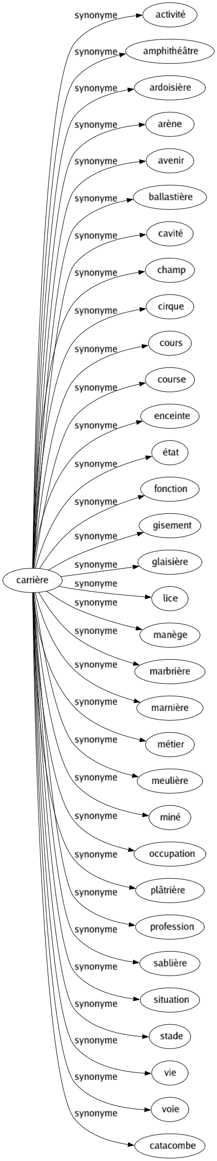 Synonyme de Carrière : Activité Amphithéâtre Ardoisière Arène Avenir Ballastière Cavité Champ Cirque Cours Course Enceinte État Fonction Gisement Glaisière Lice Manège Marbrière Marnière Métier Meulière Miné Occupation Plâtrière Profession Sablière Situation Stade Vie Voie Catacombe 