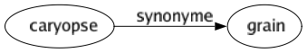Synonyme de Caryopse : Grain 