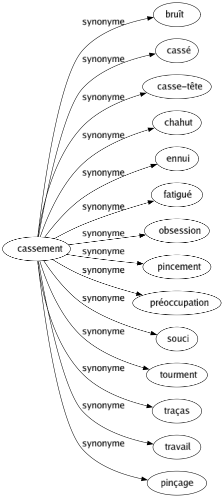 Synonyme de Cassement : Bruît Cassé Casse-tête Chahut Ennui Fatigué Obsession Pincement Préoccupation Souci Tourment Traças Travail Pinçage 