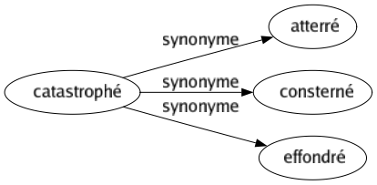 Synonyme de Catastrophé : Atterré Consterné Effondré 