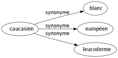 Synonyme de Caucasien : Blanc Européen Leucoderme 