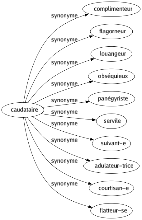 Synonyme de Caudataire : Complimenteur Flagorneur Louangeur Obséquieux Panégyriste Servile Suivant-e Adulateur-trice Courtisan-e Flatteur-se 