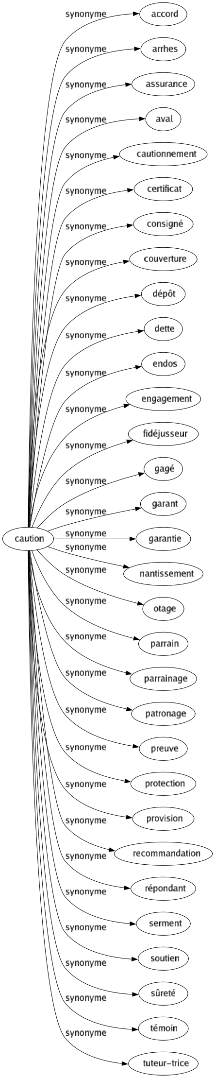 Synonyme de Caution : Accord Arrhes Assurance Aval Cautionnement Certificat Consigné Couverture Dépôt Dette Endos Engagement Fidéjusseur Gagé Garant Garantie Nantissement Otage Parrain Parrainage Patronage Preuve Protection Provision Recommandation Répondant Serment Soutien Sûreté Témoin Tuteur-trice 