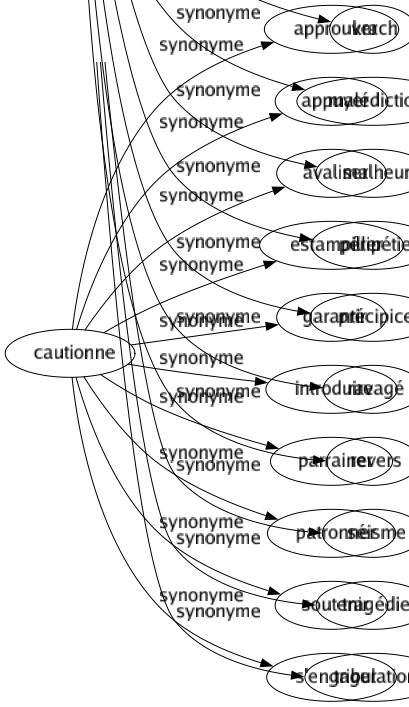 Synonyme de Cautionne : Approuver Appuyer Avaliser Estampiller Garantir Introduire Parrainer Patronner Soutenir S'engager 